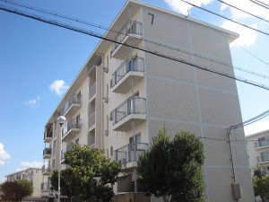 IMG_3756-s