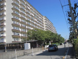 IMG_4517-s