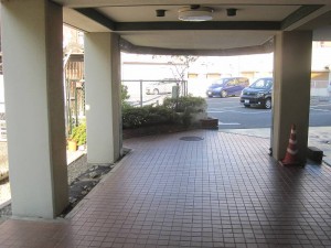 IMG_6146-s