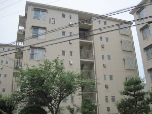 IMG_5435-s