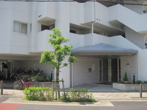 IMG_7765-s